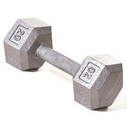 Hex Dumbbell w/ Straight Handle 20 lb 1 Hex Dumbbell w/ Straight Handle 20 lb