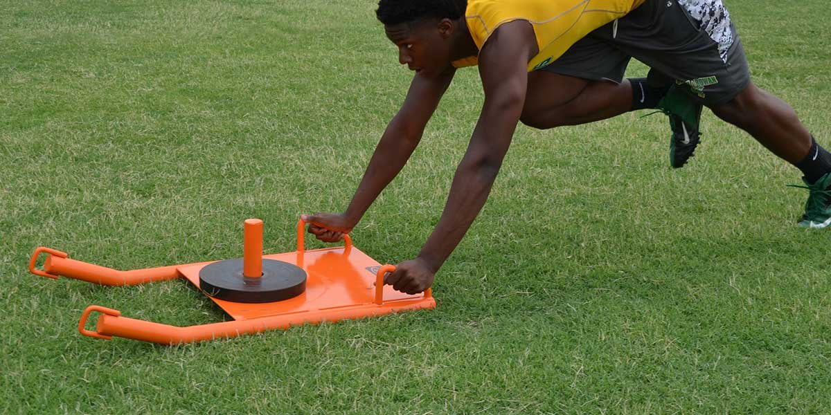 Fisher Small Push/Pull Sled 3 Fisher Small Push/Pull Sled - Image 3