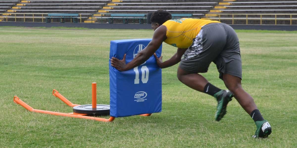 Fisher Push/Pull Sled PS3000 5 Fisher Push/Pull Sled PS3000 - Image 5