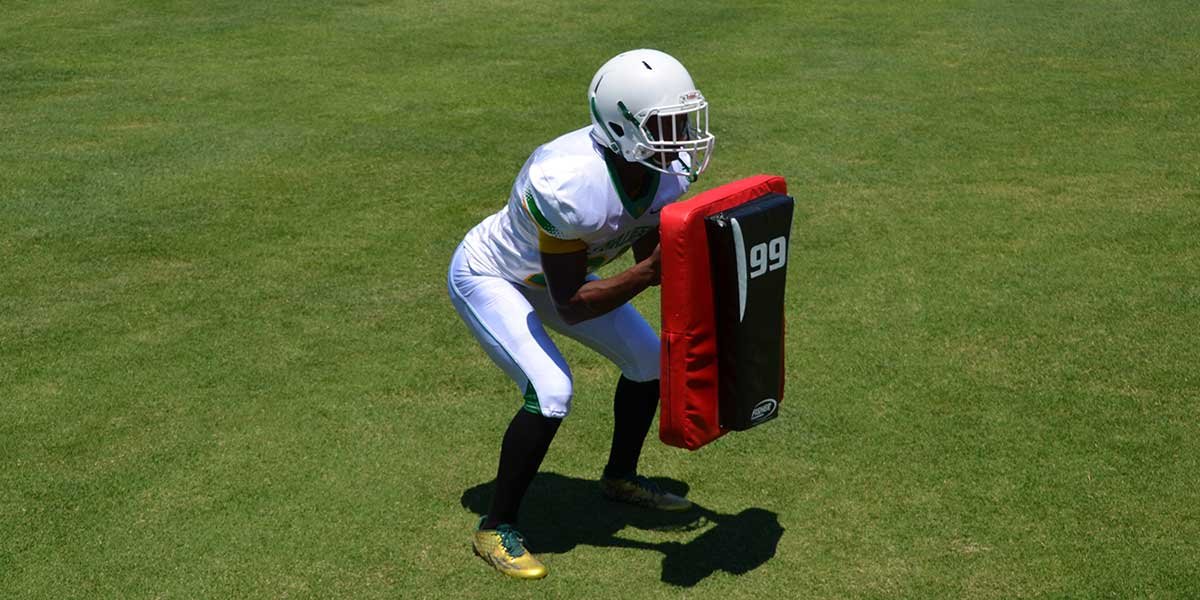 Fisher Pummel Pad Hand Shield 1 Fisher Pummel Pad Hand Shield